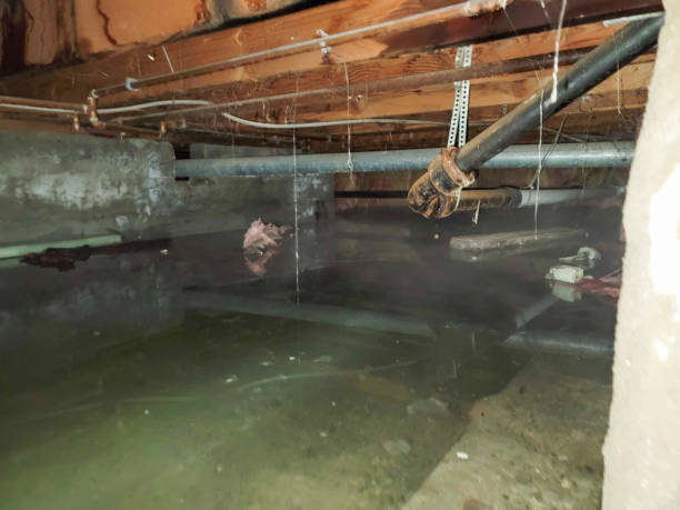 Best Water damage contractors near me  in Bull Run Mountain Estates, VA