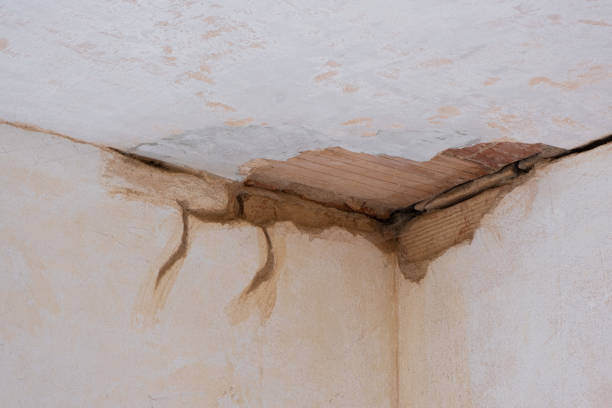 Trusted Bull Run Mountain Estates, VA Water damage restoration Experts