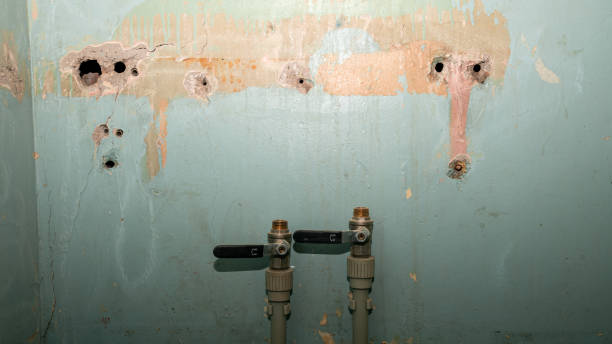 Best Flood damage cleanup  in Bull Run Mountain Estates, VA