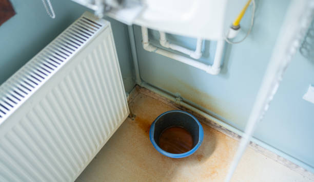Best Professional water damage repair  in Bull Run Mountain Estates, VA